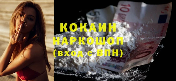 сатива Богданович