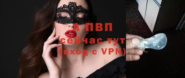 ПСИЛОЦИБИНОВЫЕ ГРИБЫ Великий Новгород