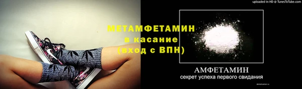 сатива Богданович