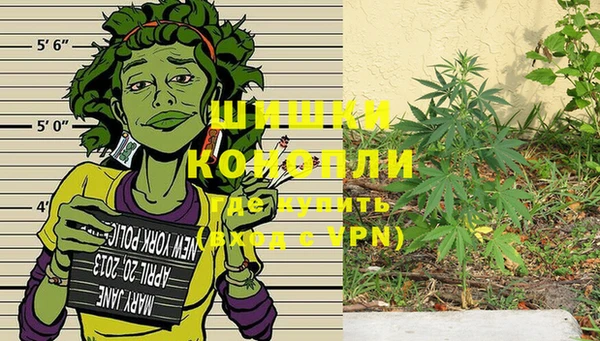 сатива Богданович