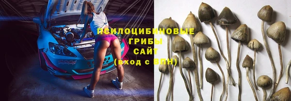сатива Богданович