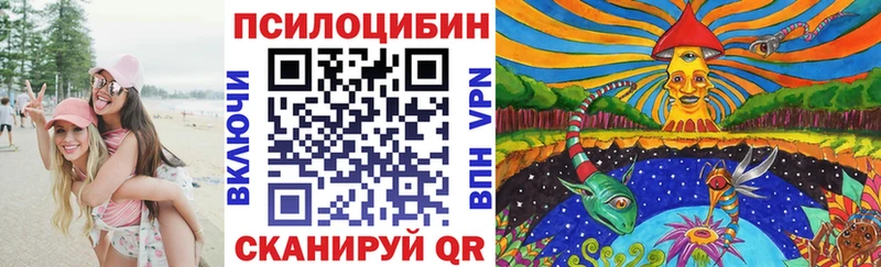 купить  сайты  Бокситогорск  Псилоцибиновые грибы Psilocybe 
